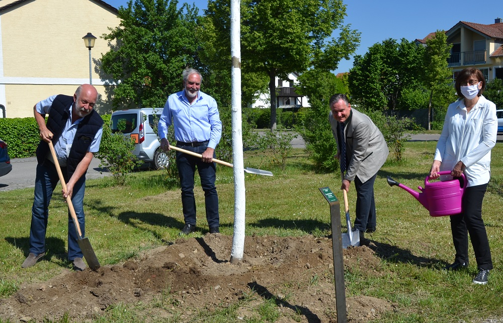 BaumdesJahres2020