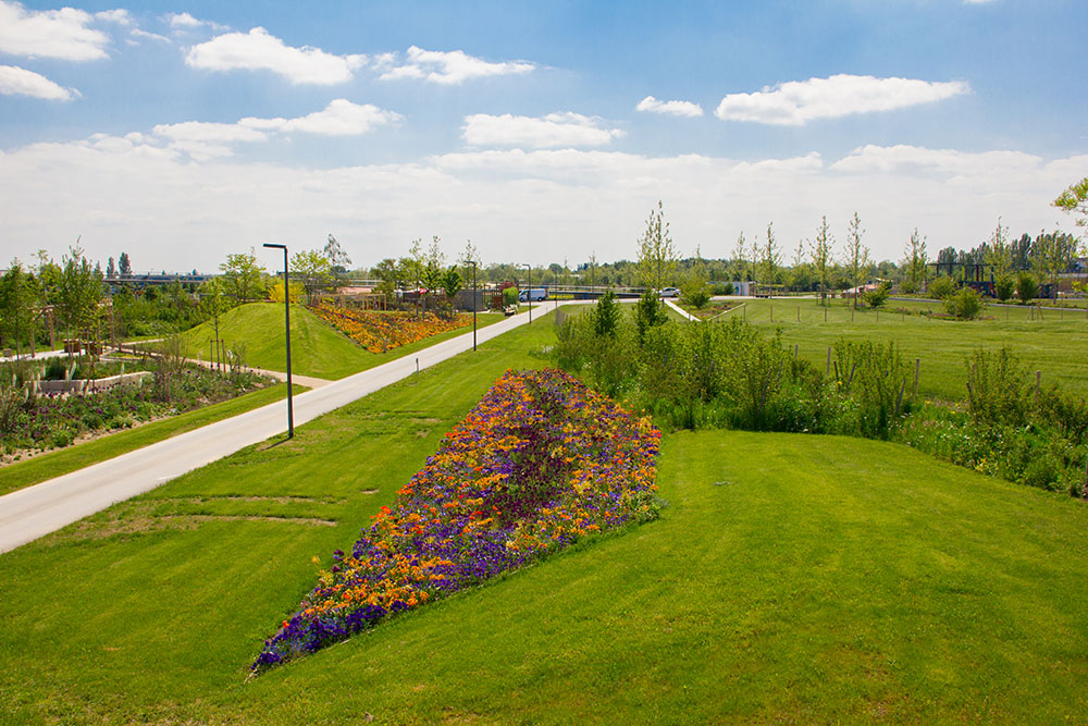 Wechselflorflächen Anfang Mai Landesgartenschau Ingolstadt 2020 Foto: Rochus / Landesgartenschau Ingolstadt 2020