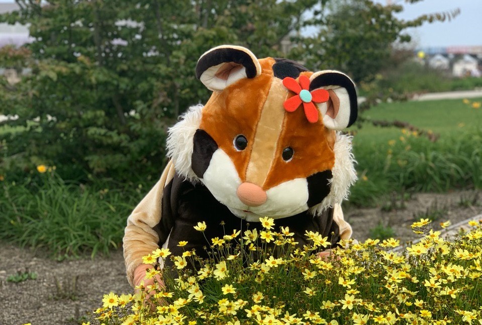 Makottchen-Feldhamster-Landesgartenschau-Ingolstadt-2020