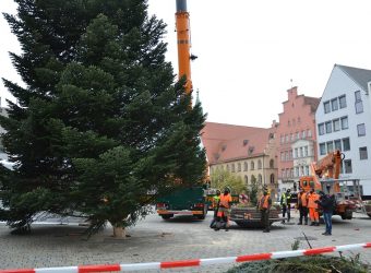 Baumaufstellen2020