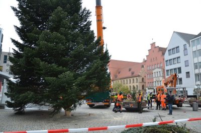 Baumaufstellen2020 Baumaufstellen2020