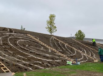 Zwiebelstecken©Landesgartenschau Ingolstadt 2020