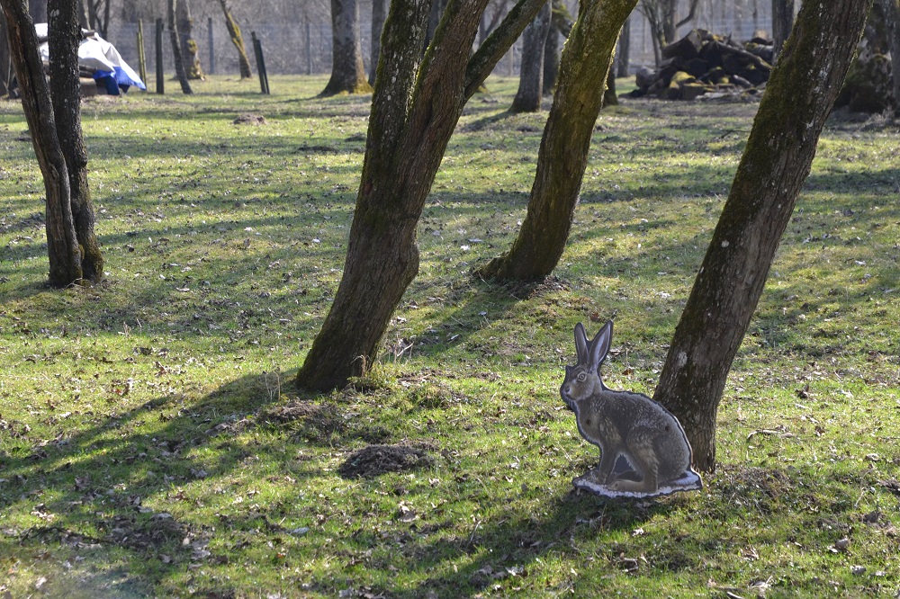 PirschpfadWildpark2