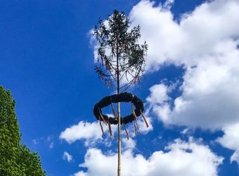 Maibaum_naturpuur