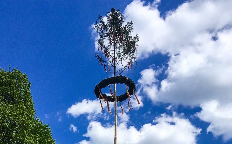 Maibaum_naturpuur