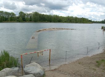 Donauwurm unter Wasser 1