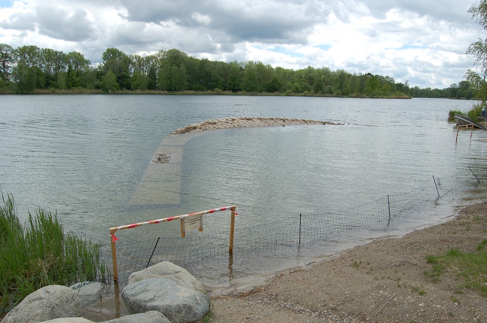 Donauwurm unter Wasser 1