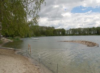 Donauwurm unter Wasser 2