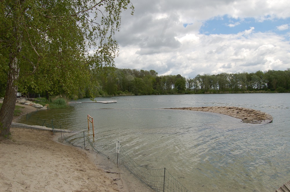 Donauwurm unter Wasser 2