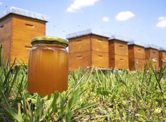 Honey jar and beehives on meadow in springtime.