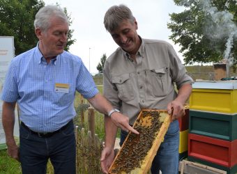 LGS Bienen3