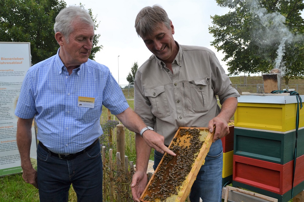 LGS Bienen3