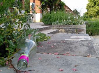 Klenzepark Flasche Arzenheimer