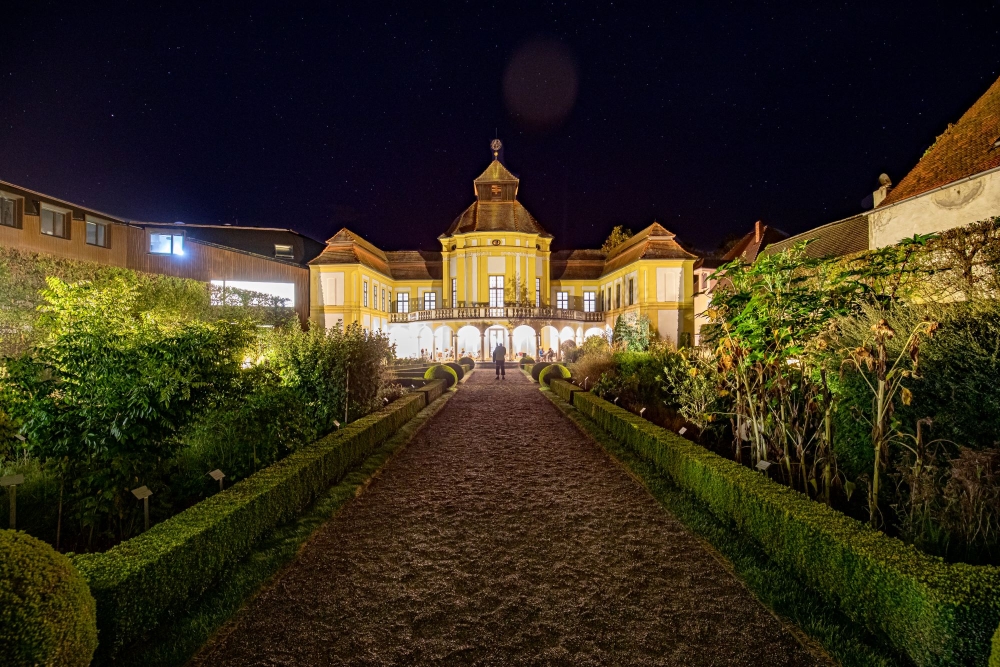 anatomie bei nacht foto johannes Hauser_1000