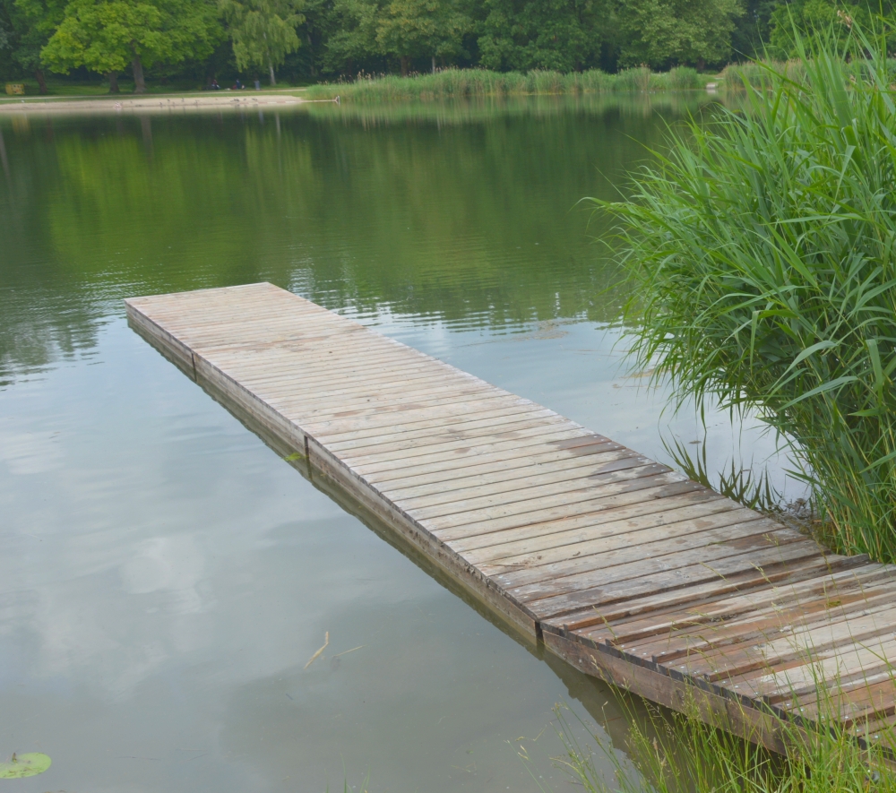 baggersee Foto Michel_1000