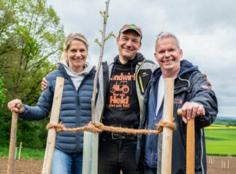 Walnüsse aus heimischem Anbau