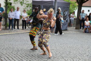 in-direkt_afrikafest-ingolstadt-2023_13