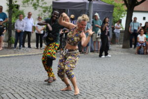 in-direkt_afrikafest-ingolstadt-2023_14