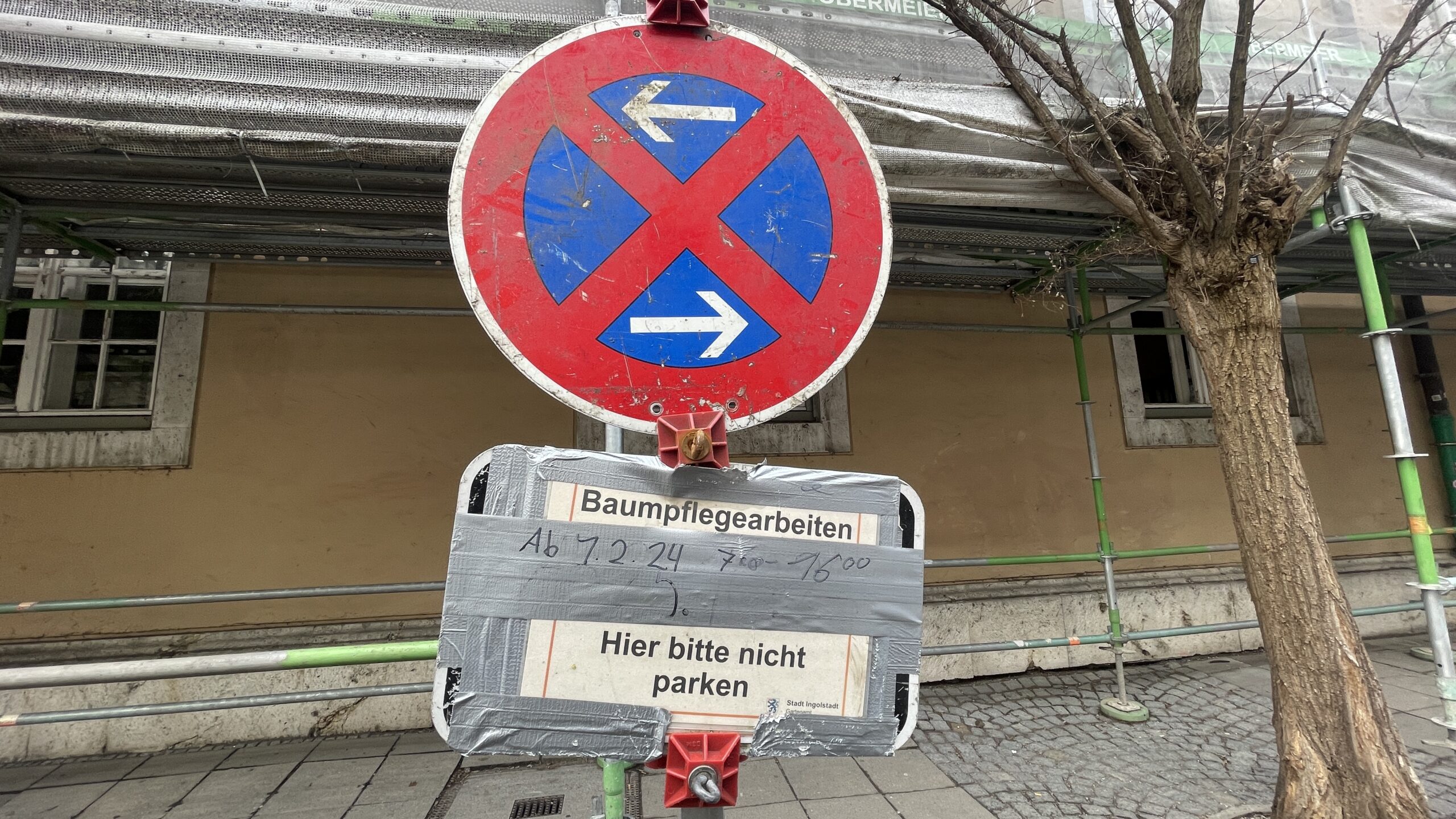 Baumfällungen