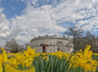 2024-03-19_fruehling-in-der-stadt_2