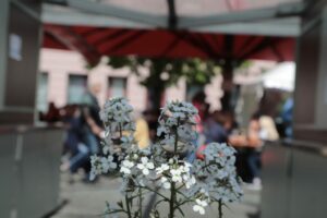 Rundgang Viktualienmarkt